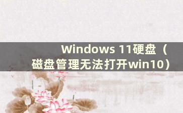 Windows 11硬盘（磁盘管理无法打开win10）